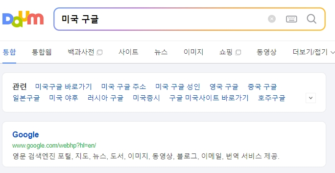 미국 구글 검색 결과 화면