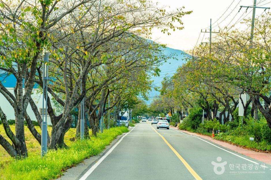 하동 가볼만한곳 베스트 10