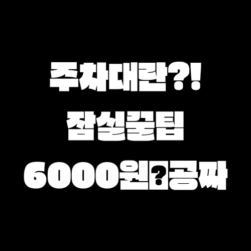 잠실야구장 주차 요금 6000원과 탄..