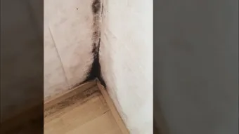 곰팡이 냄새 빨래통 환기와 햇빛 건조 베이킹소다 뿌리기_24