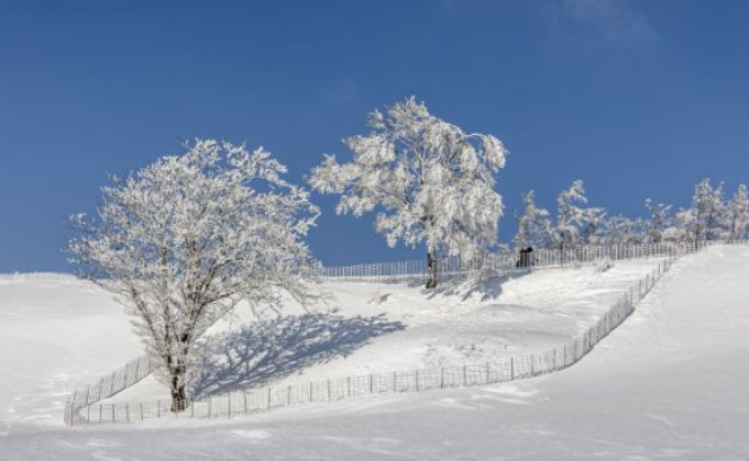 1월 강원도 가볼만한곳 ❘ 국내 겨울 갈만한곳 새해 여행지 추천 ❘ 데이트 여행 가족 실내 나들이 당일치기
