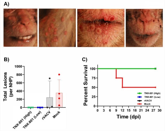 ํ ๋์ค ํ๋ง์ํฐ์ปฌ์ค ํ๋ฉ, ์ ํญ์ค(mpox) ๋ฐฑ์ TNX-801 ๊ฐ๋ฐ ์ง์ ์ ์ํด ํ๋ ฅ