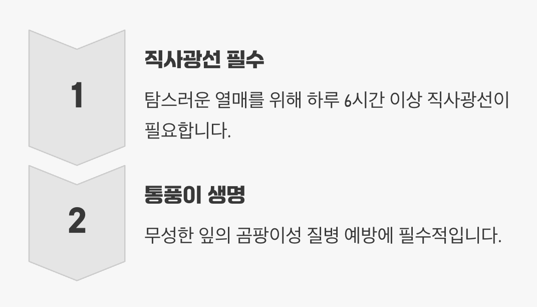 햇볕과 바람&amp;#44; 최고의 보금자리