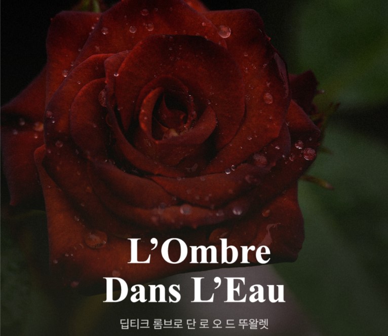 여자 크리스마스 향수 선물