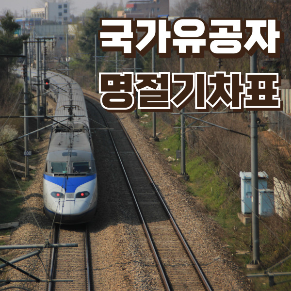 열차가 선로 위에 있습니다.