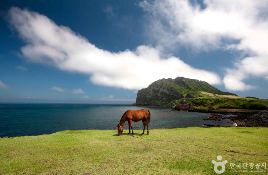제주도 사진