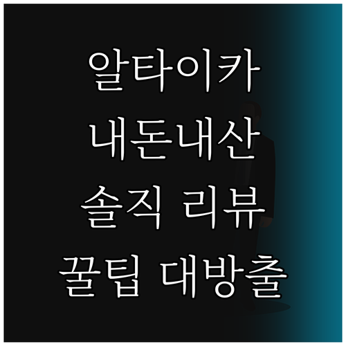 내돈내산 알타이카 운동화 리뷰! 장점..