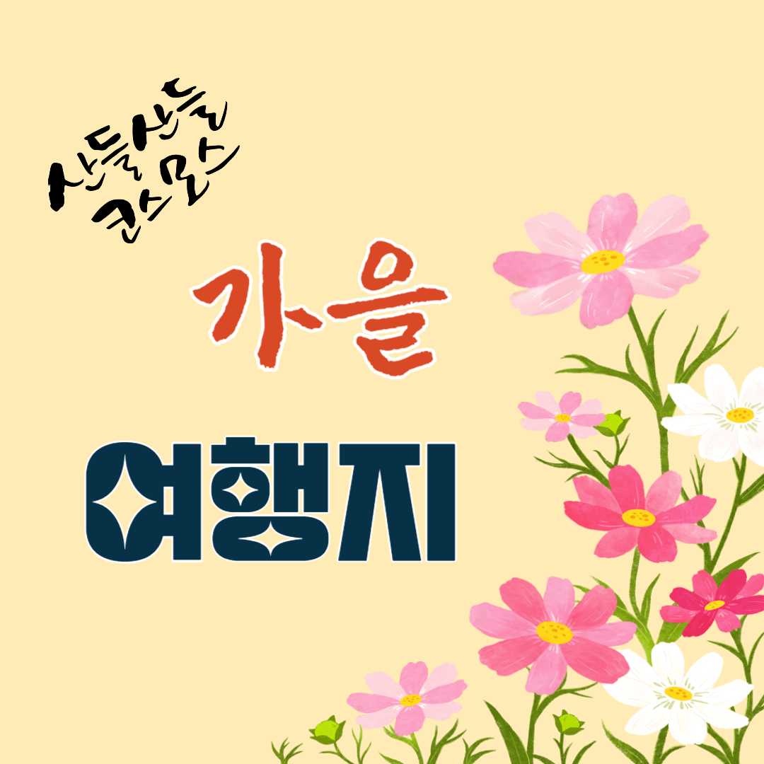 가을 여행지 코스모스 꽃구경 추천 장소