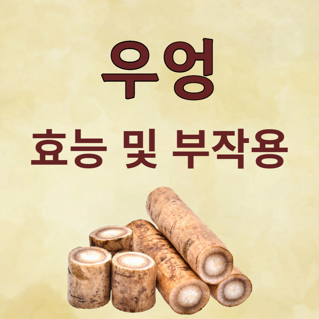 우엉 효능 부작용 좋은 점