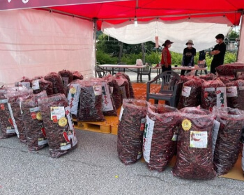 괴산 고추축제_8