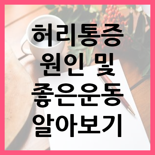 허리통증 원인 및 좋은운동 알아보기