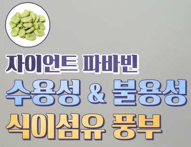 자이언트 파바빈