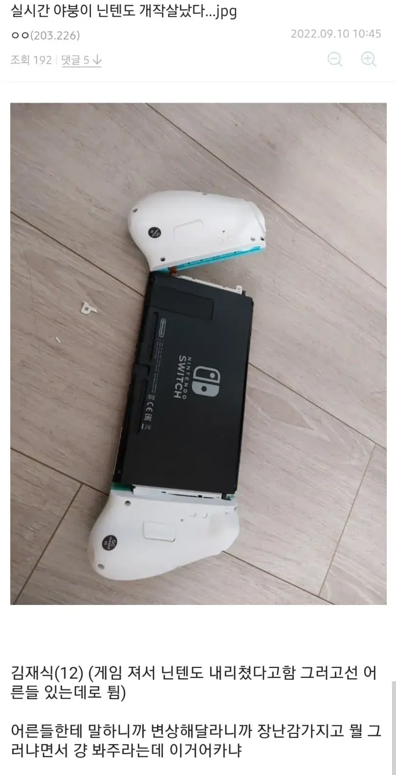 추석 친척이 닌텐도 개작살냈다