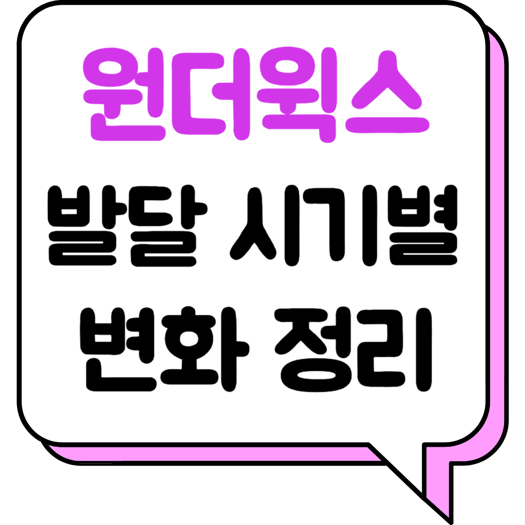 원더윅스 발달 시기별 변화 정리