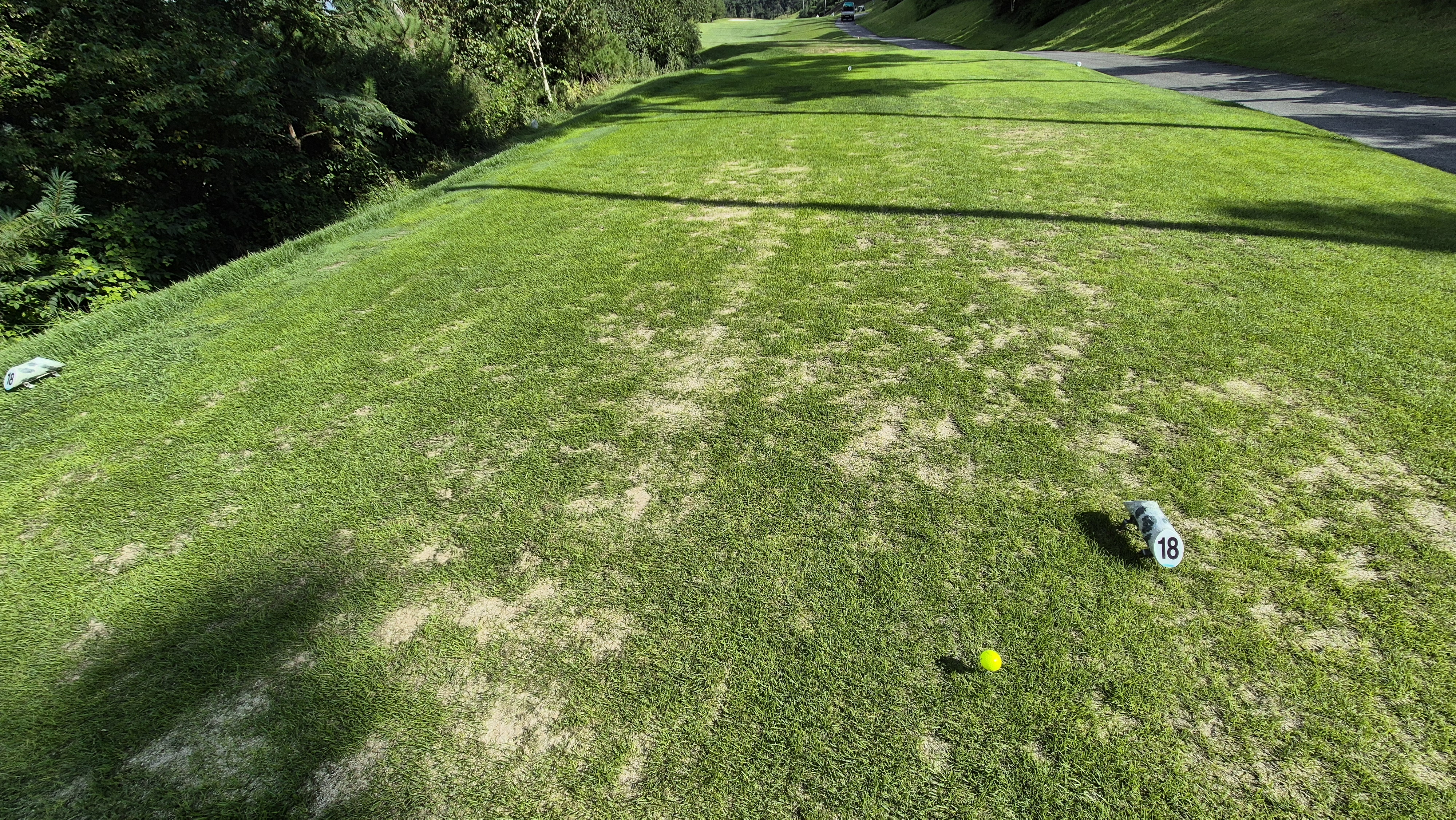 세일cc 들길-산길 코스 라운드 후기