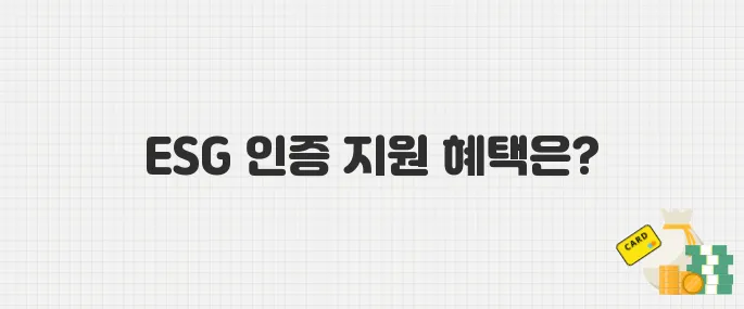 정부, ESG 인증 비용 지원 시작! 중소기업 혜택 조건과 신청 방법