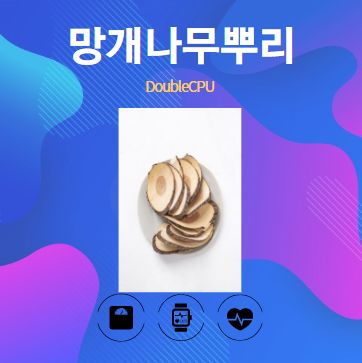 망개나무뿌리 알아보기