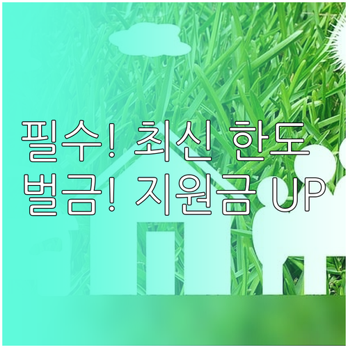 운전자보험 교통사고처리 지원금과 벌금..