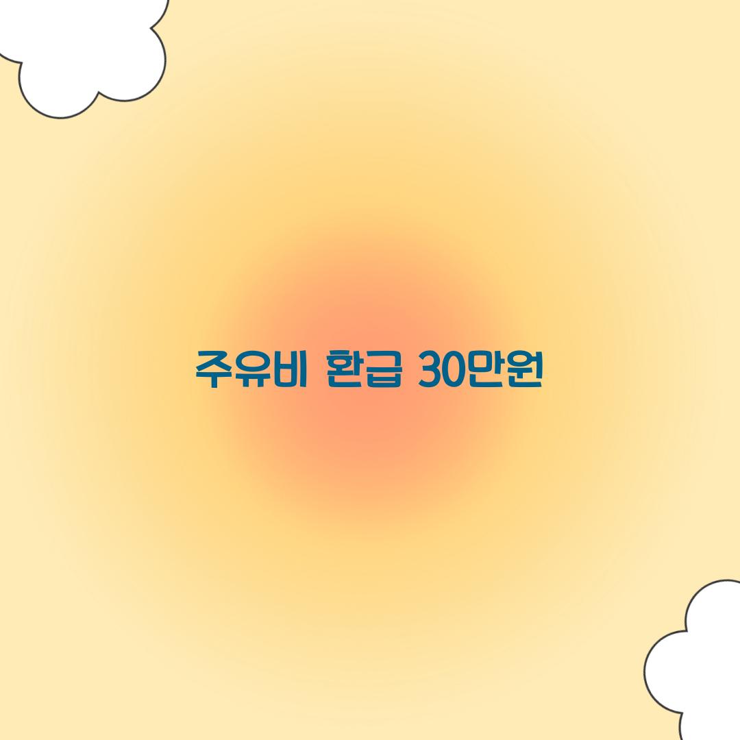 주유비 환급 30만원