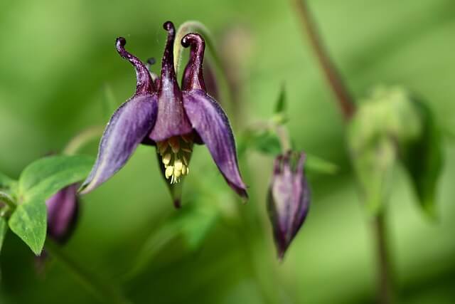아보하 감성의 일상 즐기기 여행