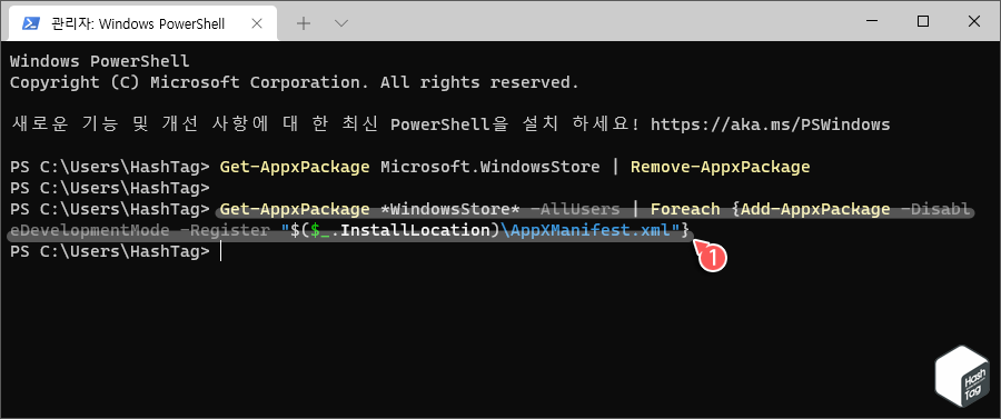 Microsoft Store 앱 설치 명령