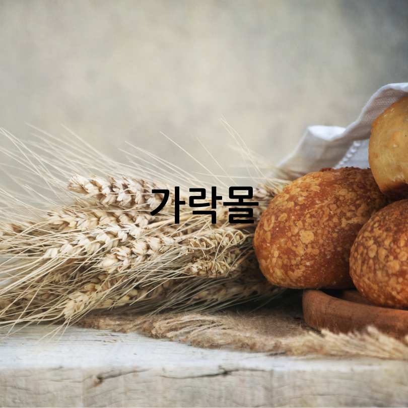 제2회 전국빵지자랑