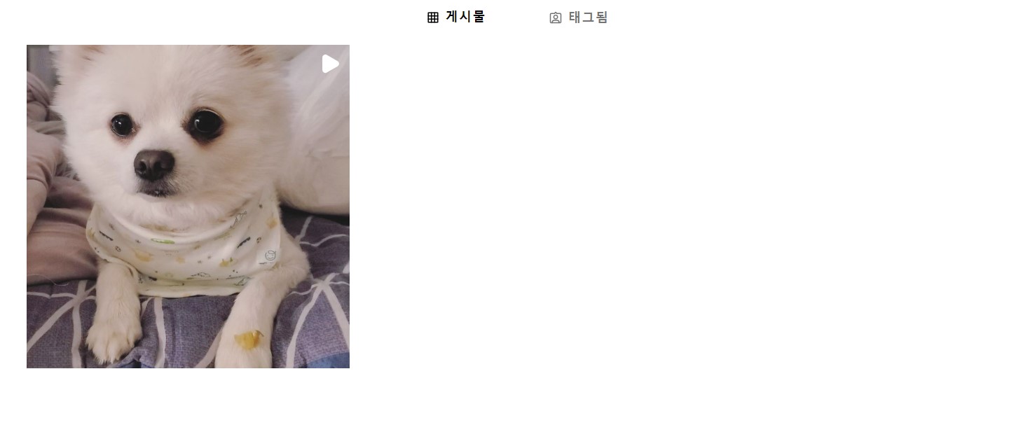 조한나 인스타그램 일부