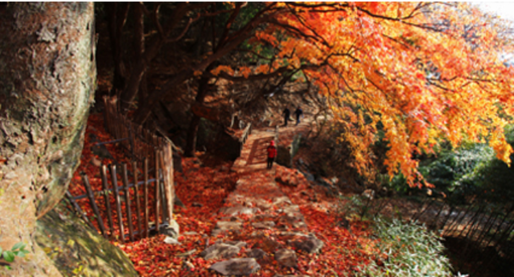 모악산 등산코스