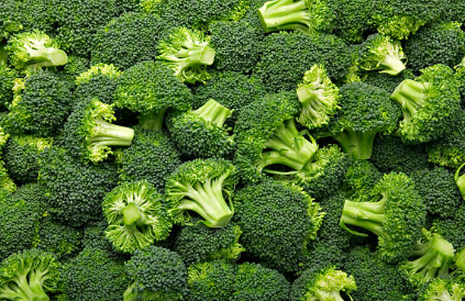 전립선에 좋은 브로콜리
