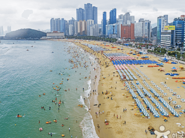 해수욕장 개장일정