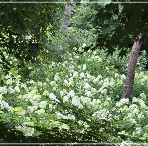 화담숲-예약하기-입장료-운영시간