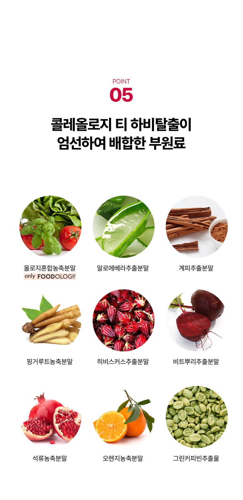푸드올로지 콜레올로지 티 3