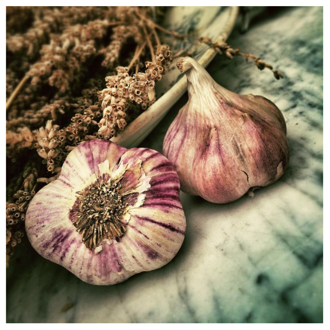 유방암과 관련된 사진입니다.