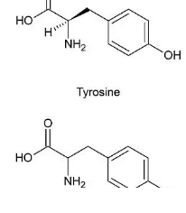싸이모신알파원