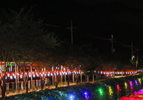 9월 축제: 평창 백일홍 축제 일정과 입장료, 가는 길, 근처 맛집 안내