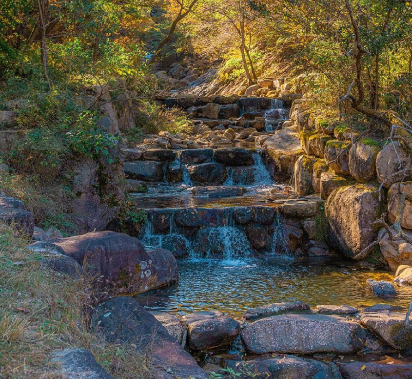 화원자연휴양림