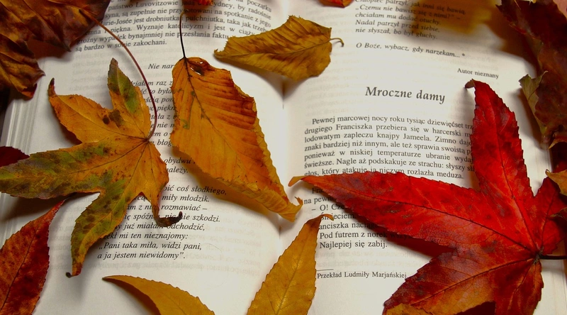 건설공사 입찰, 절차