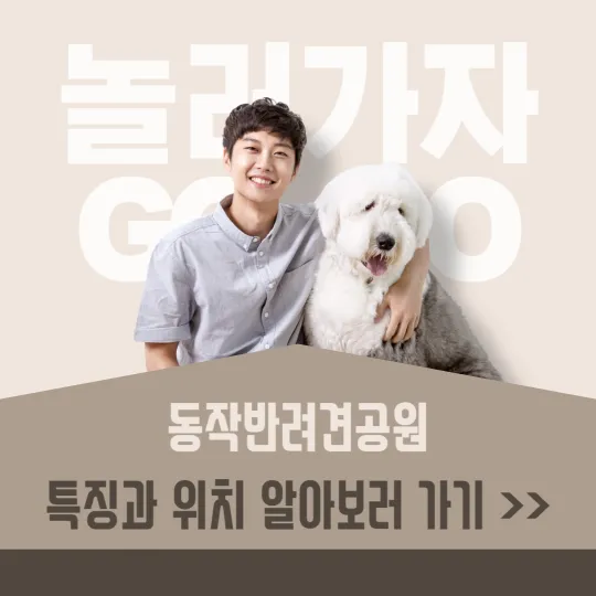 동작반려견공원-특징과-위치를-알아보자