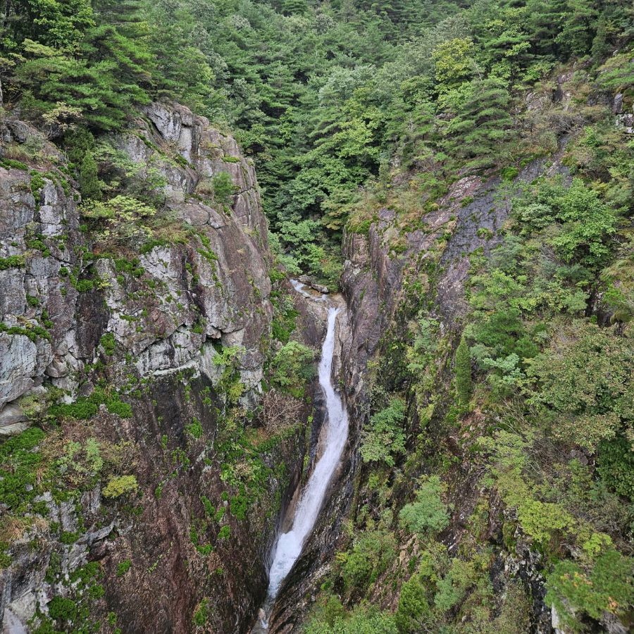 우두산출렁다리