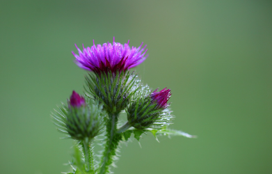 화담숲-예약하기