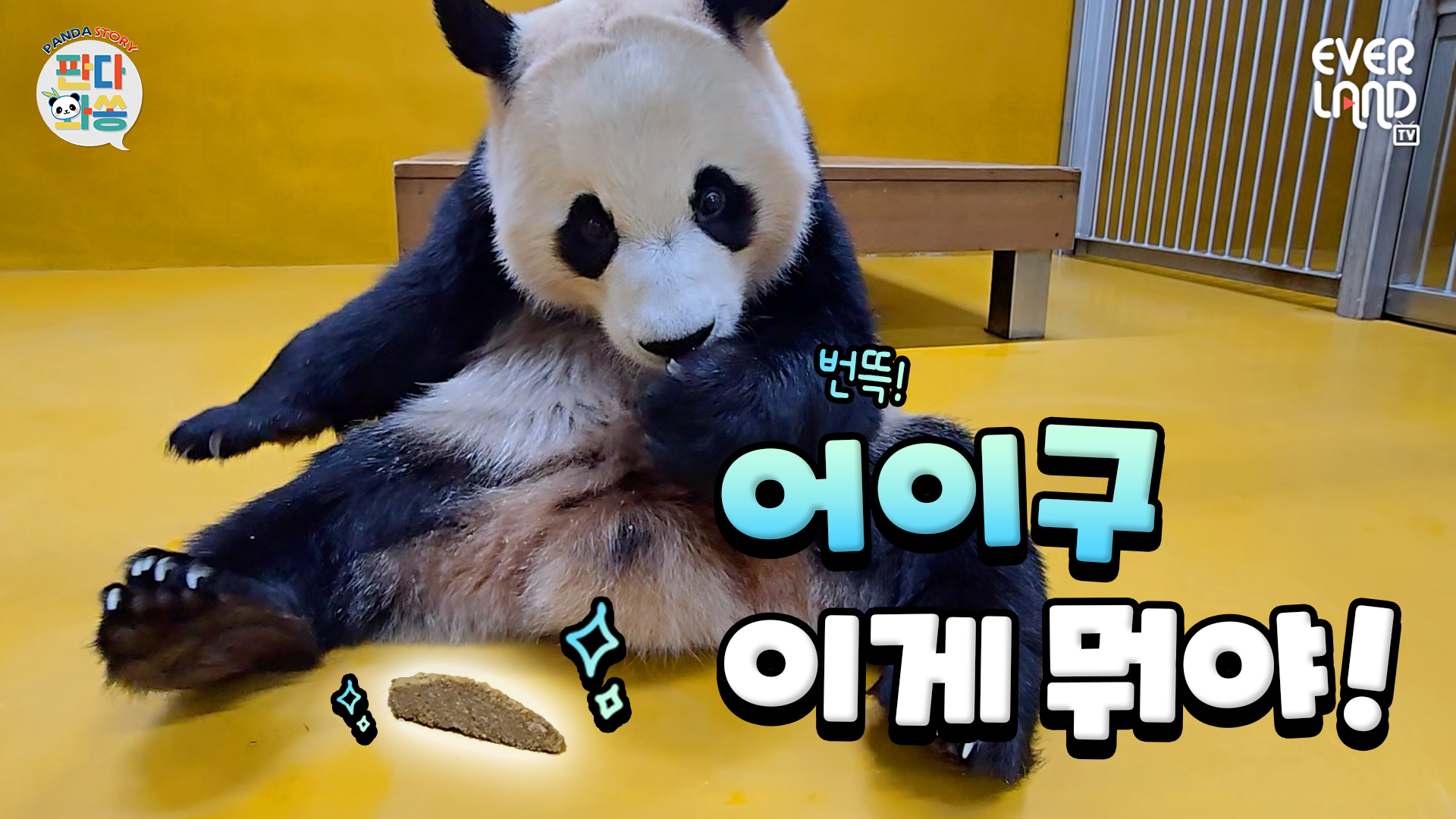 ※고구마 아님※ ㅋㅋㅋㅋㅋㅋ｜#판다와쏭 #275