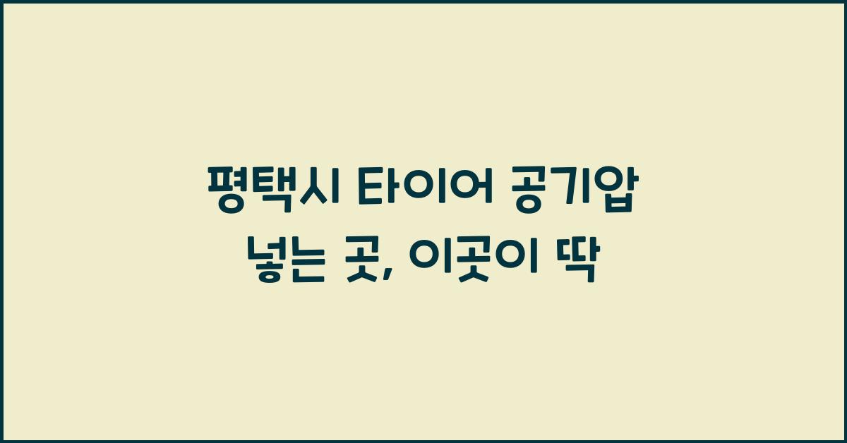 평택시 타이어 공기압 넣는 곳