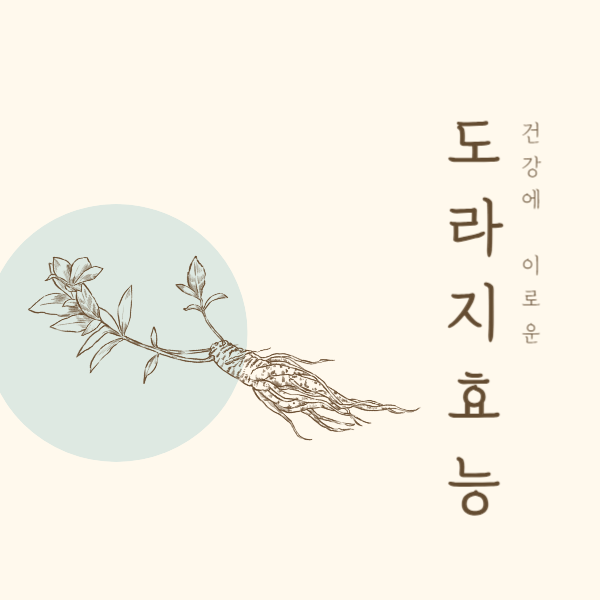 도라지 효능│도라지 효능 부작용 알고 드세요!