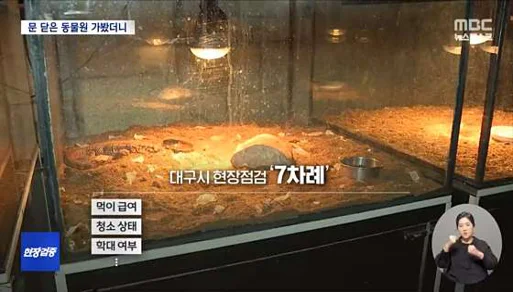 아이니테마파크