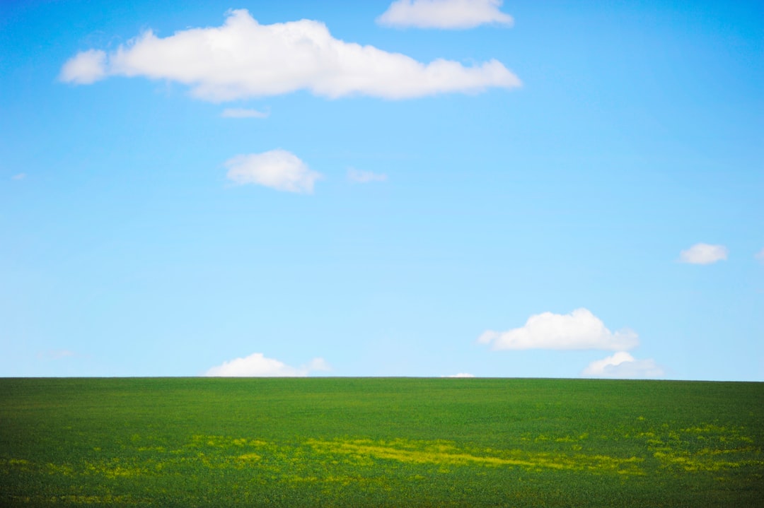 Spring greens
