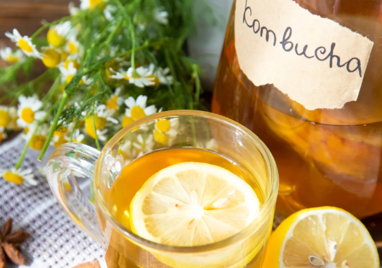 콤부차 효능 부작용 카페인 변비 혈당 붓기 임산부 칼로리 소화 피부 총정리4