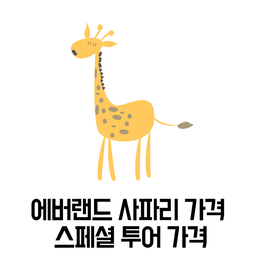 에버랜드 사파리 가격 스페셜 투어 가격