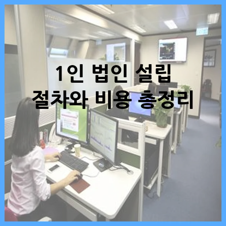 1인 법인 설립 절차와 비용 총정리