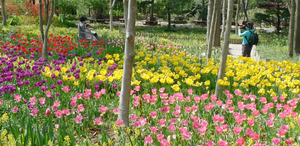용인 한택식물원 안내 