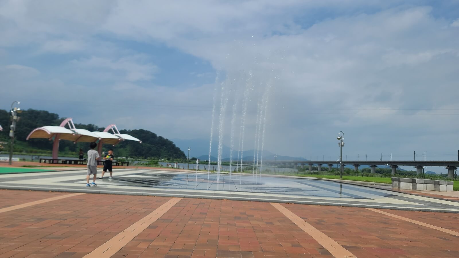 짧은줄기
